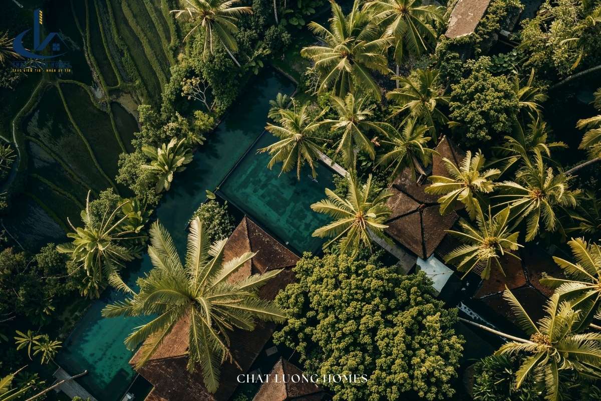 Thiết kế hoà mình với thiên nhiên